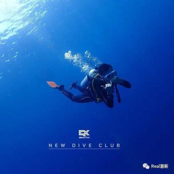寻找迷路的松鼠